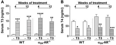 Global Disruption of α2A Adrenoceptor Barely Affects Bone Tissue but Minimizes the Detrimental Effects of Thyrotoxicosis on Cortical Bone